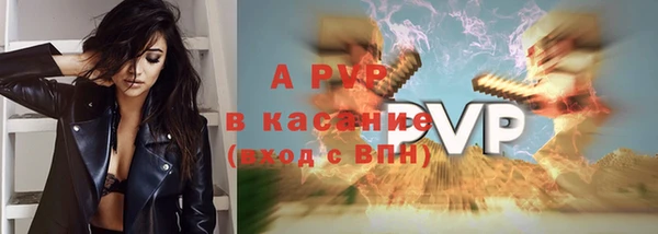 индика Беломорск