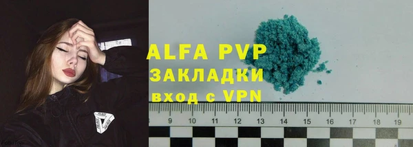 индика Беломорск
