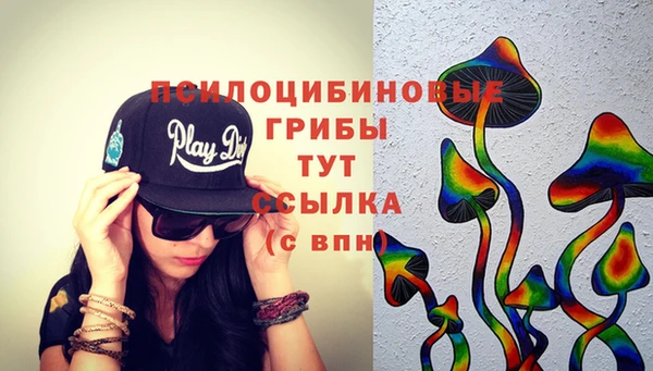 индика Беломорск