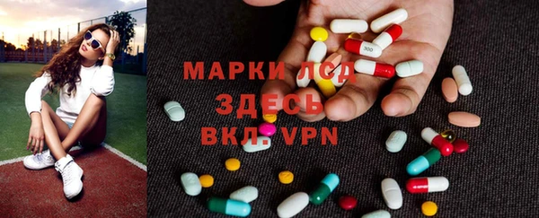 индика Беломорск
