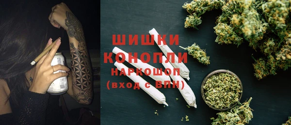 индика Беломорск