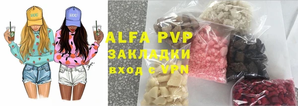 индика Беломорск